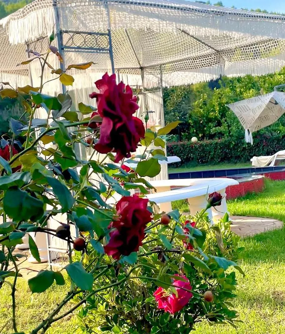 Vila Dy Bukurite Дуррес Вилла